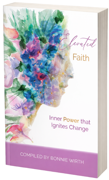 Elevated Fatih transparent Book promo