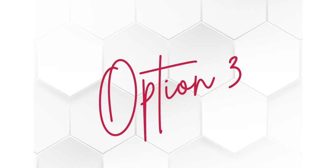 option 3